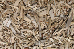 biomass boilers Rudloe